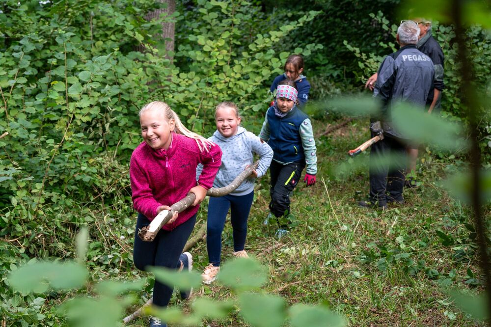Bau einer Waldkugelbahn