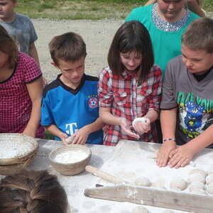 Pfarre Neumarkt im Mühlkreis