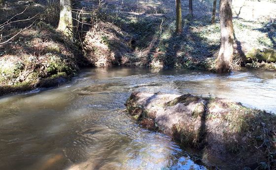 Steine im Bachbett