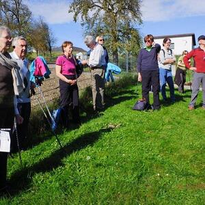 Gunskirchener Pilgertag 2022