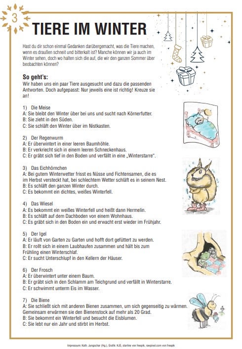 Tiere im Winter Adventwerkbuch / © Team Kinder Diözese Linz Tiere im Winter Adventwerkbuch