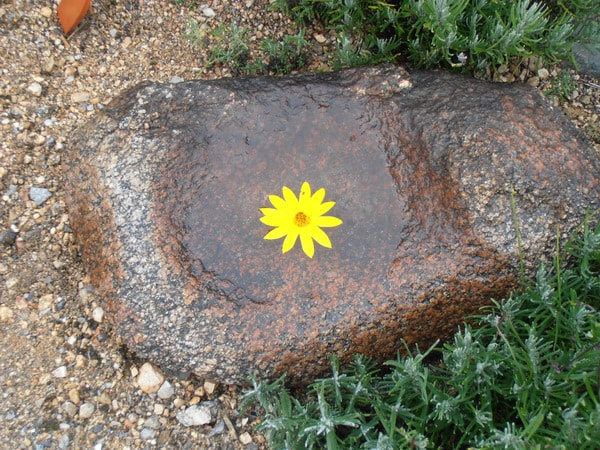 Einkehrtag 16.3.2019