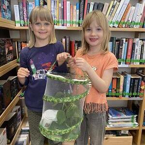 Raupen in der Bibliothek