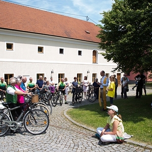 Pfarrfest 2023 - Green Event