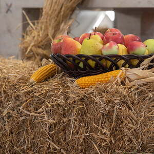 Erntedankfest 2018 auf der Ennsleite