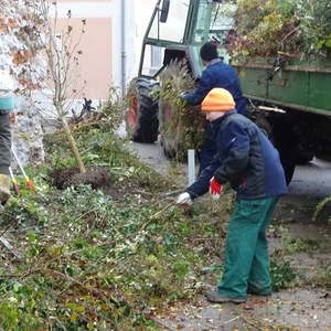 Kirchensanierung - Grünanlage