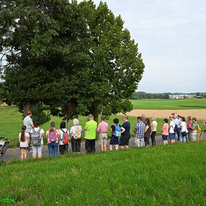 Feldmesse Wannersdorf 2024