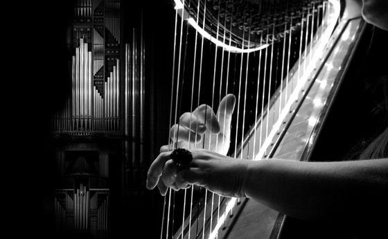 Harfe vor der Rudigierorgel