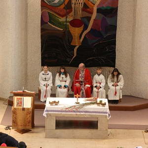 Palmsonntag in St. Quirinus