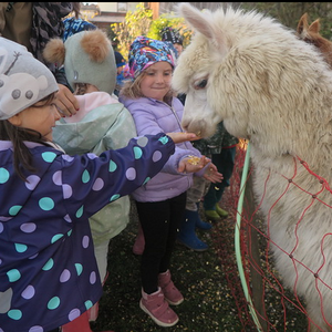 Besuch der 'Binderalm'
