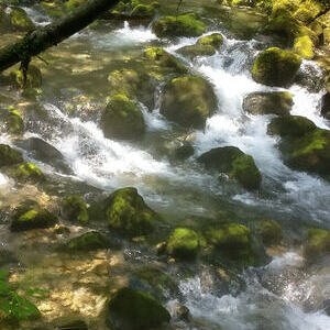 Ministrantenausflug 2017