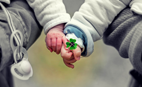 Zwei Babyhände mit Klee in der Hand