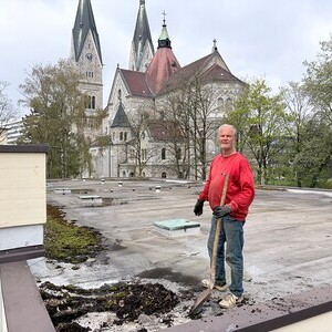 Baumschnittaktion