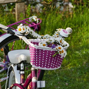 Kugelberg, Sarleinsbach