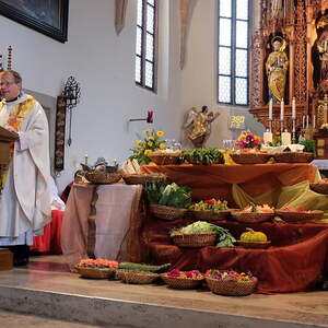 Pfarrfest 2017, Pfarre Neumarkt im Mühlkreis