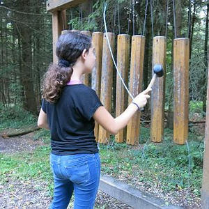 Naturerlebnisweg Pfarrwald Vöcklabruck