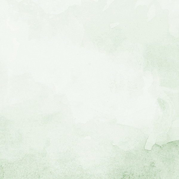 Farbfeld Grün / © Maria Fischer/Envato Elements Farbfeld Grün
