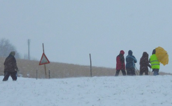 Lichtmess-Roas der Goldhaubenfrauen