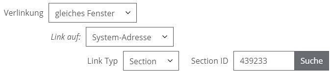 Verlinkung auf Section