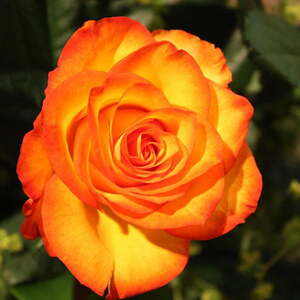 Lange Nacht der Kirchen in St. Konrad