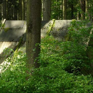 Firmvorbereitung und Firmung