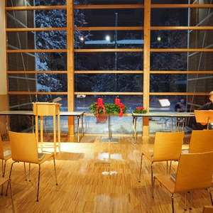 OLYMPUS DIGITAL CAMERA         