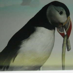 Island mit Josef Dlapka