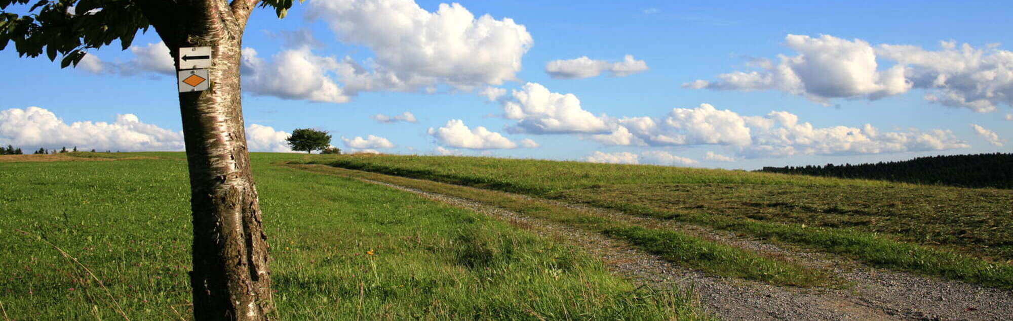 Slider Ausbildungsbegleitung Theologie