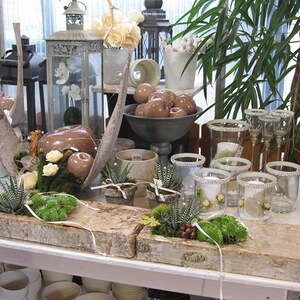 Pfarre Neumarkt im Mühlkreis