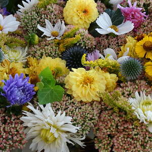 Pfarrfest 2015, Pfarre Neumarkt im Mühlkreis