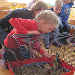 Projekt im März und April 2019