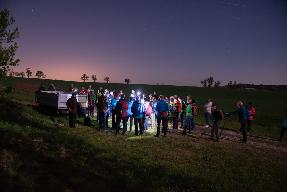 Personen wandern in der Nacht