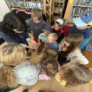 Regenwurmprojekt