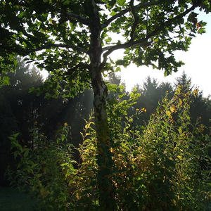 PGR KLAUSUR GREISINGHOF