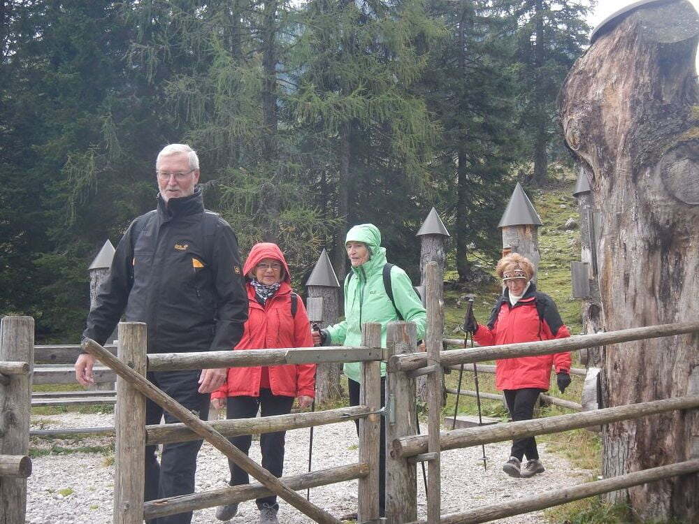 Wurzeralm am Brunnsteiner See