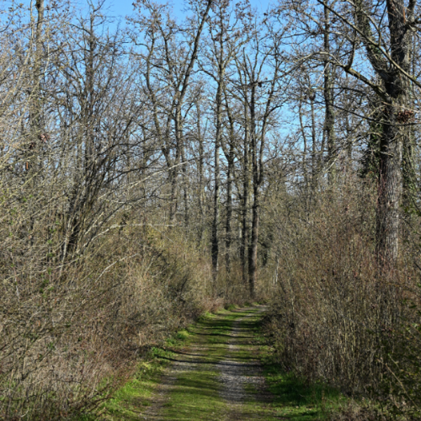 Heidewald Schieferegg - Umweltarbeit in der Diözese Linz