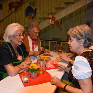 Bilder vom Pfarrball