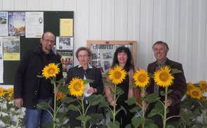 Sonnenblumen in der Pfarre Steyr Tabor