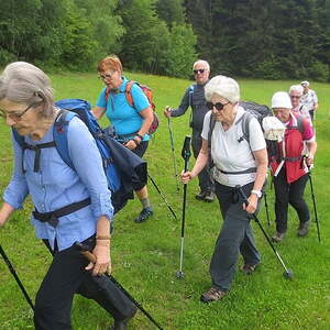 Waldhausen - St. Georgen/Walde - Kaltenberg - Sandl