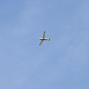 Firmprojekt Hochbeet