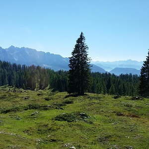 Wallfahrt Kapellenverein Ernsting 2016