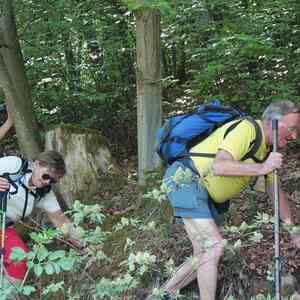 meditative Pilgerwanderung 28.4.18