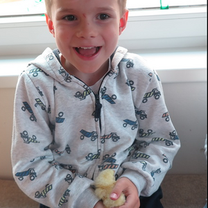 Kinder dürfen Küken halten