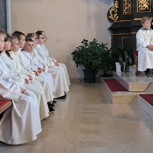 Minis-Willkommensmesse am 12.11.23