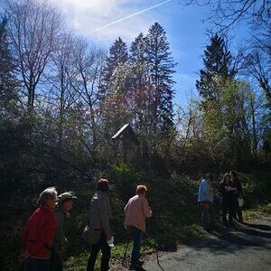 Kreuzwegandacht am Schiltenberg