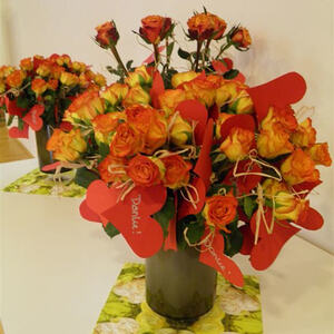 KFB Jahreshauptversammlung