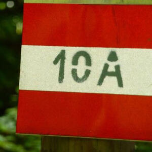 Firmvorbereitung und Firmung