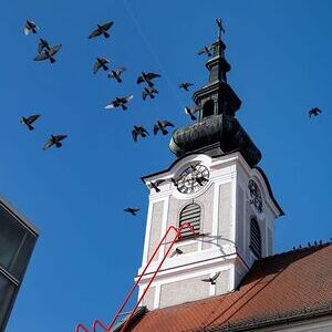 Stadtpfarrkirche Urfahr Hl. Josef