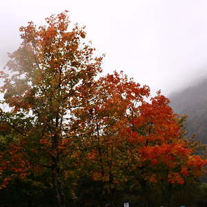 Seniorenausflug_04102016