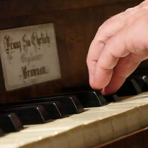 Wolfgang Kreuzhuber an der Orgel